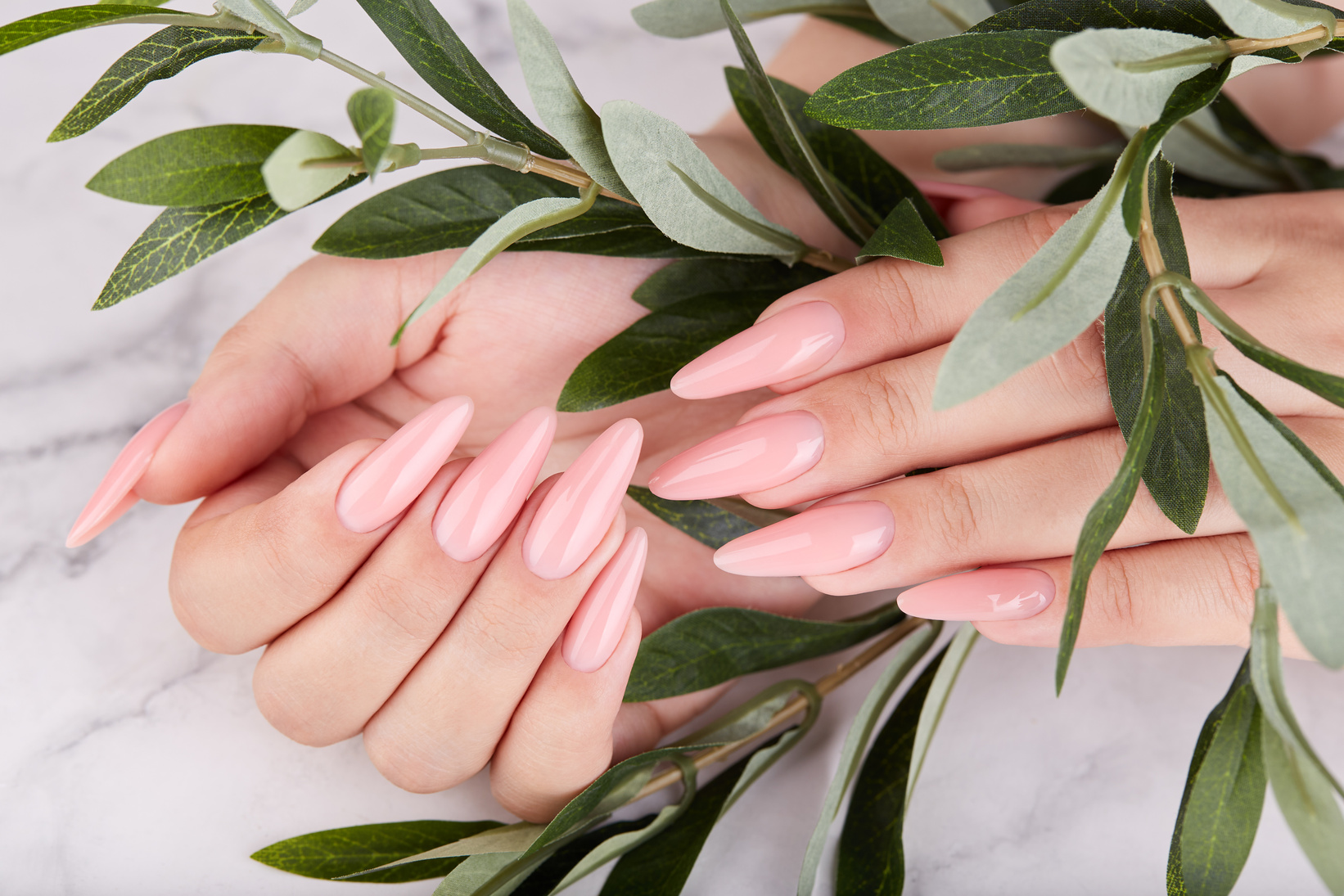 Hands with long artificial manicured nails colored with pink nail polish